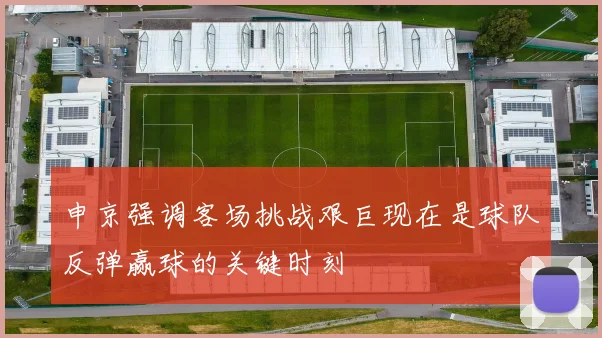 申京强调客场挑战艰巨现在是球队反弹赢球的关键时刻