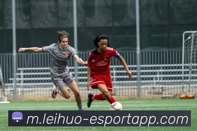 雷火电竞平台生态图